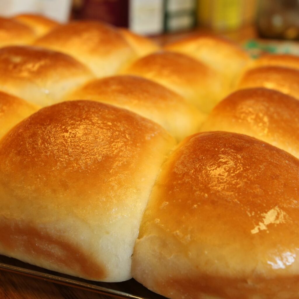 Potato Dinner Rolls
