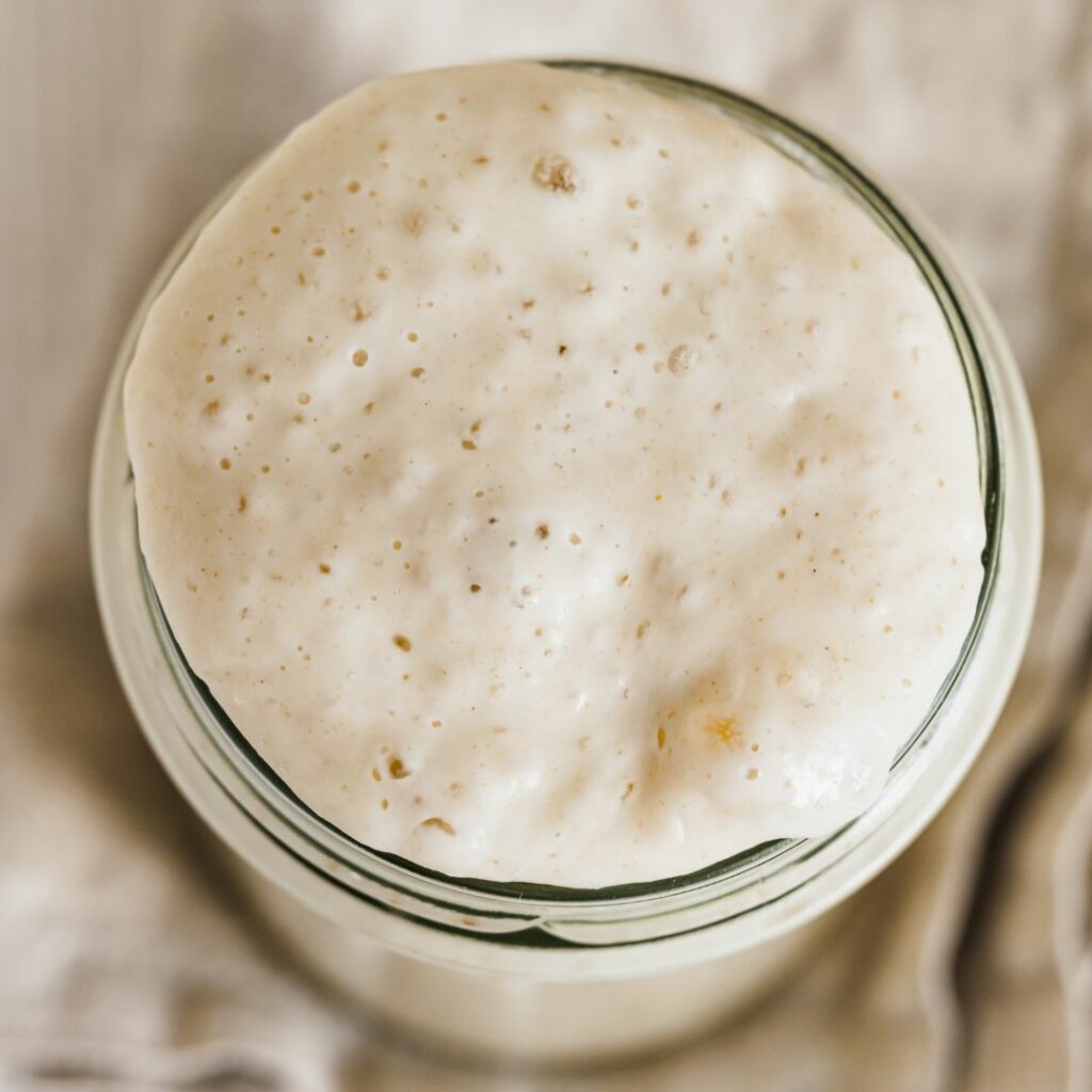 Potato Flake And Honey Sourdough Starter