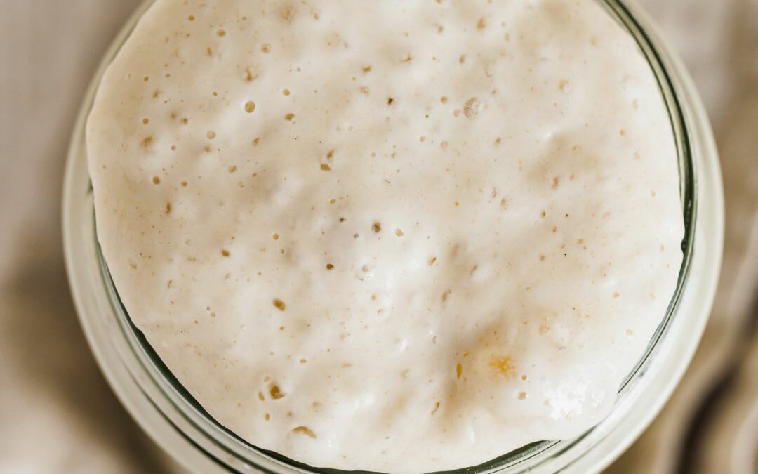Potato Flake and Honey Sourdough Starter