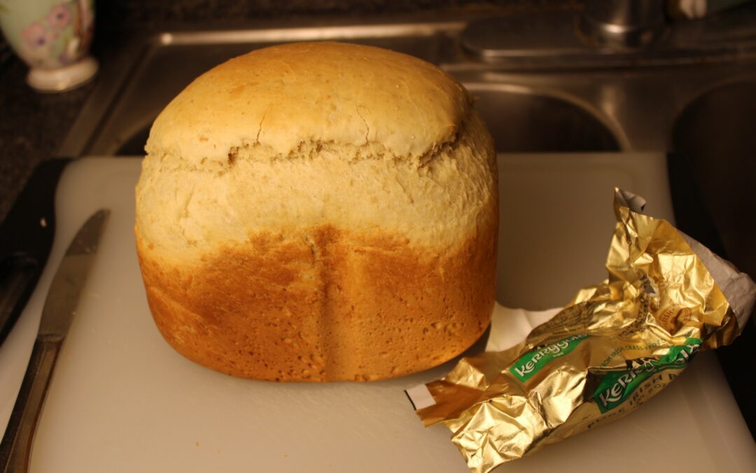Liza’s O-mazing Bread Maker Rapid Loaf Oatmeal Maple Egg Bread