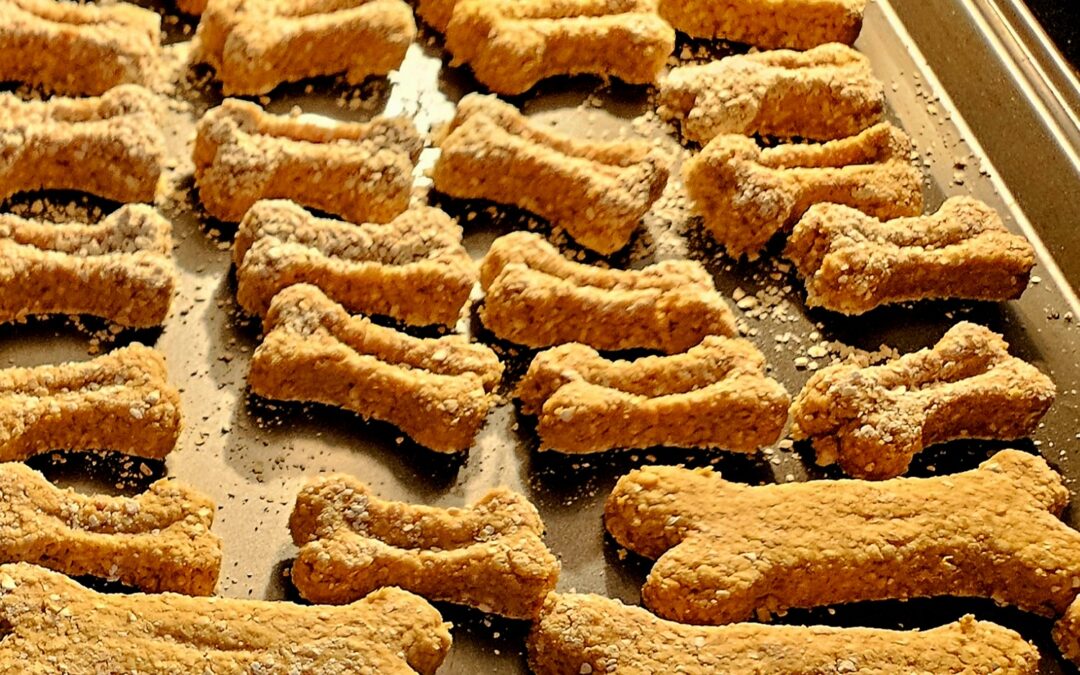 Tiffa’s Pumpkin Doggo Treat Biscuits